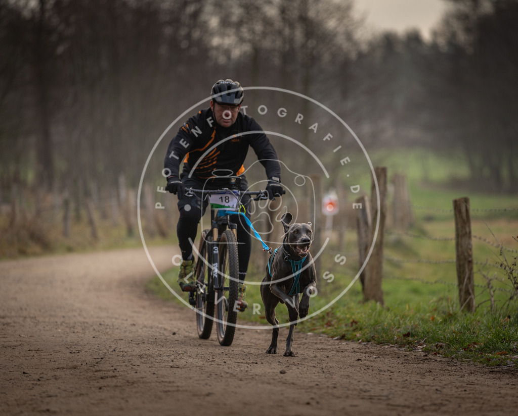 Pfotenfotografie_DV3A1919 | Hundefotografie, Tierfotograf, Pfotenfotografie, Fotoshooting Hund, Hunde Portrait, Hundesport, Hundeportraits, Heideshooting, Hunde, Sportfotograf, Hundefotograf, Turnierhundsport, THS,  - Realisiert mit Pictrs.com
