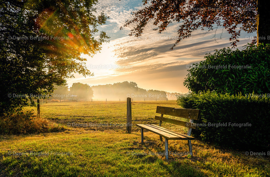 Sonnenaufgang in Hopsten | Entdecken Sie Natur, Makro und Tierfotografie von Dennis Bergfeld.Besondere Momente und Details der Natur, hochwertig als Foto und Wandbild erhältlich. - Realisiert mit Pictrs.com