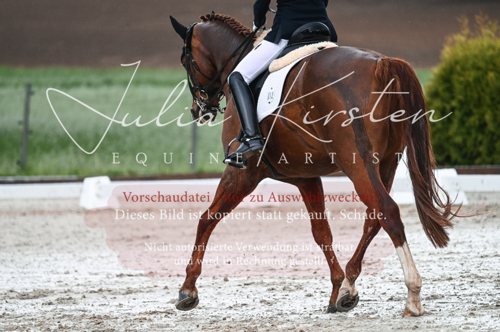 DSC_4232 | Pferde- und Turnierfotografie in Westsachsen. Pferdeportraits, Auftragszeichnungen und intuitive Kunst.