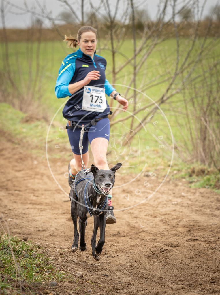 DV3A2009 | Hundefotografie, Tierfotograf, Pfotenfotografie, Fotoshooting Hund, Hunde Portrait, Hundesport, Hundeportraits, Heideshooting, Hunde, Sportfotograf, Hundefotograf, Turnierhundsport, THS,  - Realisiert mit Pictrs.com