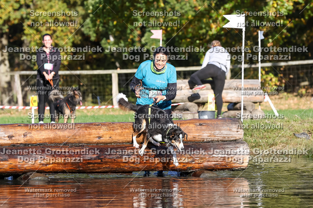 Dog Paparazzi - Strongdog 10-25-8735 | Dog Paparazzi Jeanette Grottendiek Fotografie & Videografie - Realisiert mit Pictrs.com