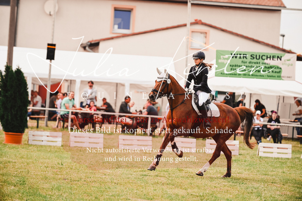 DSC_6865 | Pferde- und Turnierfotografie in Westsachsen. Pferdeportraits, Auftragszeichnungen und intuitive Kunst.