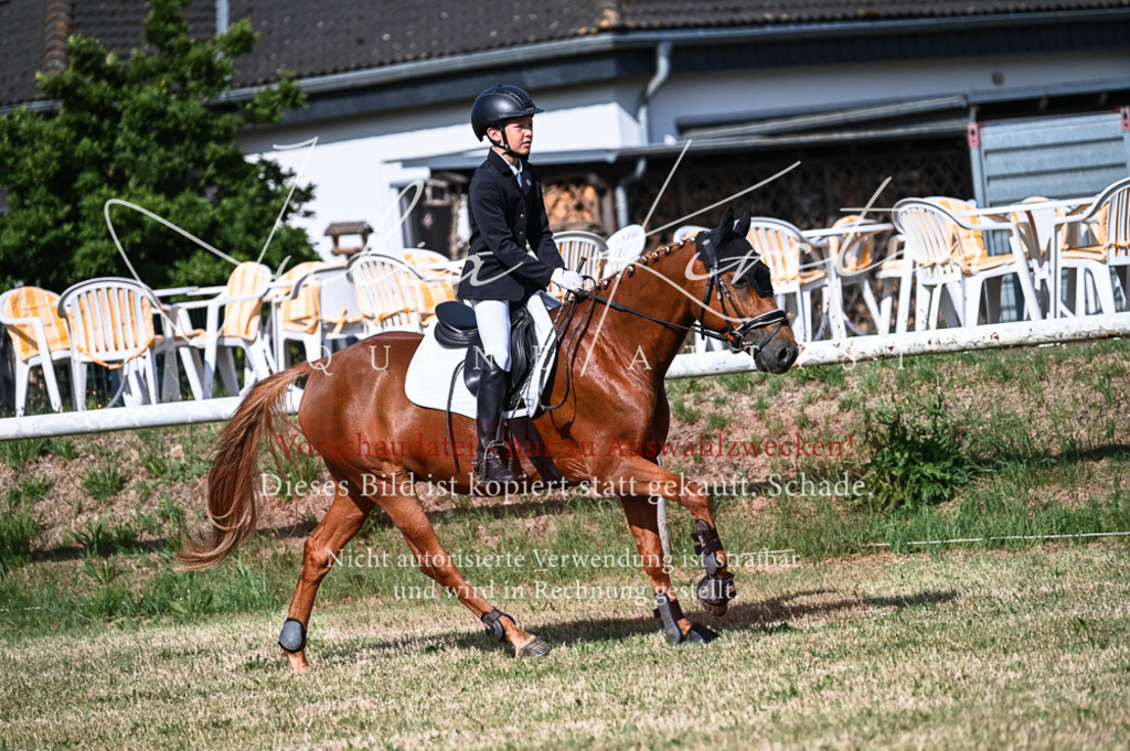 DSC_7774 | Pferde- und Turnierfotografie in Westsachsen. Pferdeportraits, Auftragszeichnungen und intuitive Kunst.