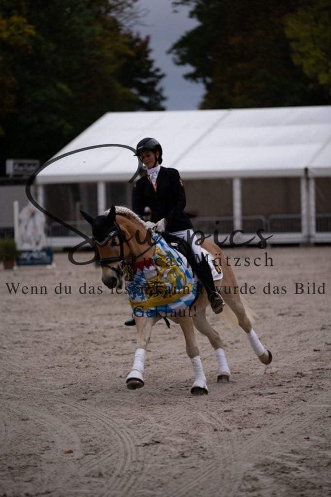 A7V01254 | Turnier/Reitfotograf