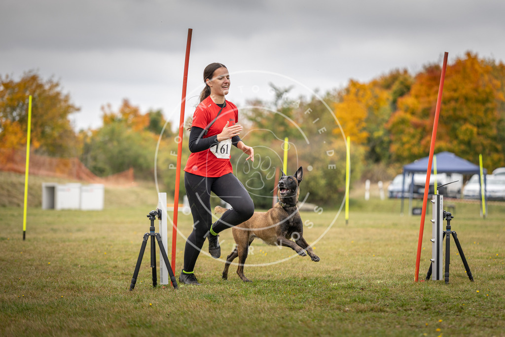 Pfotenfotografie_DV3A5218 | Hundefotografie, Tierfotograf, Pfotenfotografie, Fotoshooting Hund, Hunde Portrait, Hundesport, Hundeportraits, Heideshooting, Hunde, Sportfotograf, Hundefotograf, Turnierhundsport, THS,  - Realisiert mit Pictrs.com