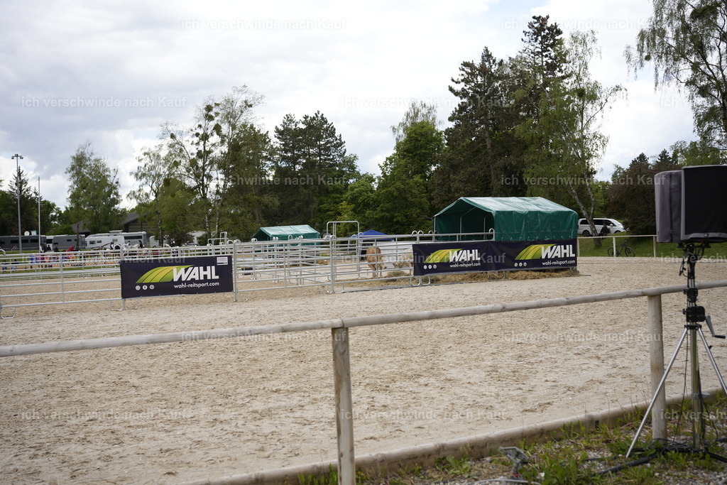 PI26_BTS_COW_Stoibphotography_A749727.JPG | working equitationturnier fotograf videograf stoibphotography marixx film working equitation deutschland reitsport turnierfotografie eventfotografie equestrian events