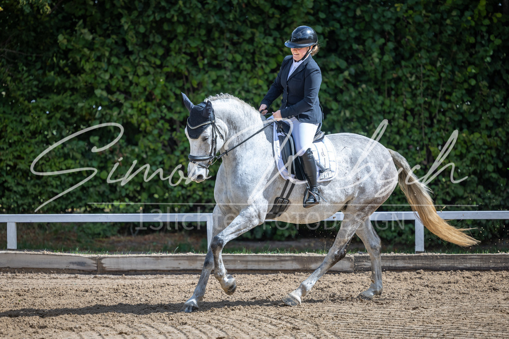20260905-_3LI7710 | Tierfotografie Pferde, Hunde, Katzen, Haustiere.
Turnierfotografie Reitturniere, Reiten, Springreiten, Dressur in Hanau, dem Main-Kinzig-Kreis und dem Rhein-Main- Gebiet um Frankfurt