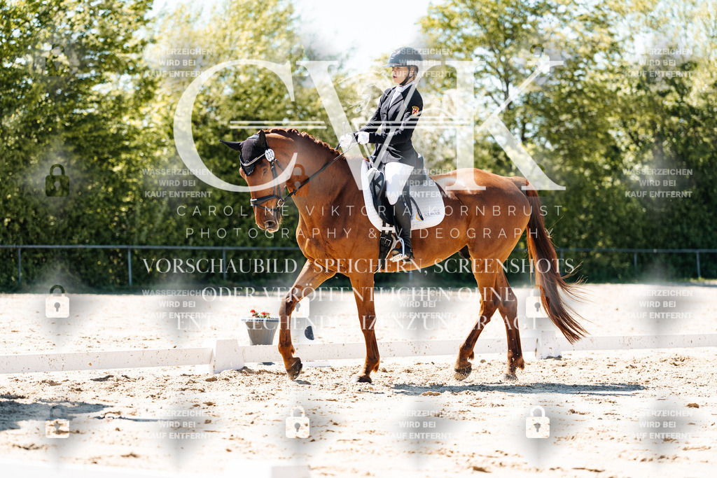 CK905755 | Turnierfotografie Pferdefotografie Trier Rheinland-Pfalz Pferdesport Reitsport Tierfotografie Sportfotografie Pferdevideo Pferdevideografie Equestrianvideography equestrianphotography  - Realisiert mit Pictrs.com