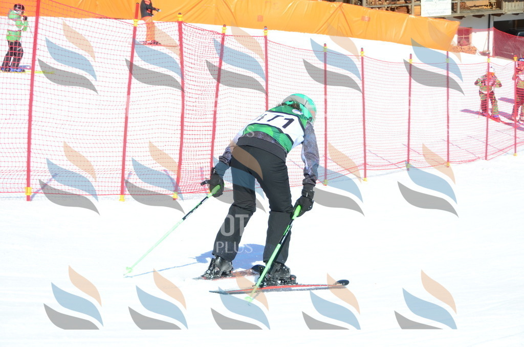 C6313 | holidayphoto