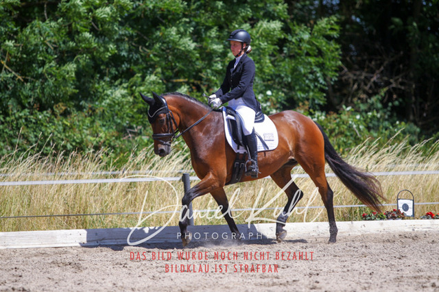 DKP46567 | Turniersportfotografie; Pferdefotografie; Dressurfotografie