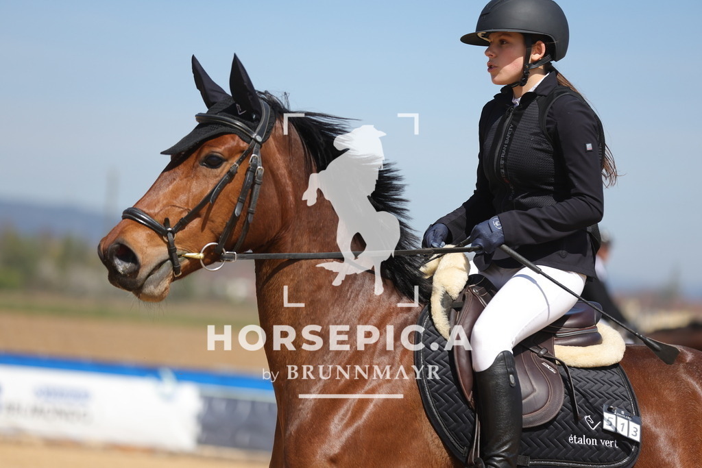 0P6A0374 | Willkommen bei Brunnmayr - Design & Fotografie – Ihrem Spezialisten für Reitturniere und Pferdeveranstaltungen in Oberösterreich, Salzburg und Bayern! Seit über 17 Jahren sind wir leidenschaftlich dabei.