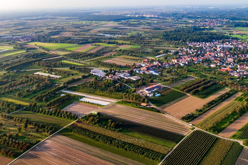 Luftbild: Ortsansicht von Südwesten im Ortsteil Zusenhofen in Oberkirch im Bundesland Baden-Württemberg in Deutschland. Foto: P1010198.jpg vom 15.09.2014 durch Werner Riehm/FLY-FOTO.deAuflösung des Originals: 5472 x 3648 px