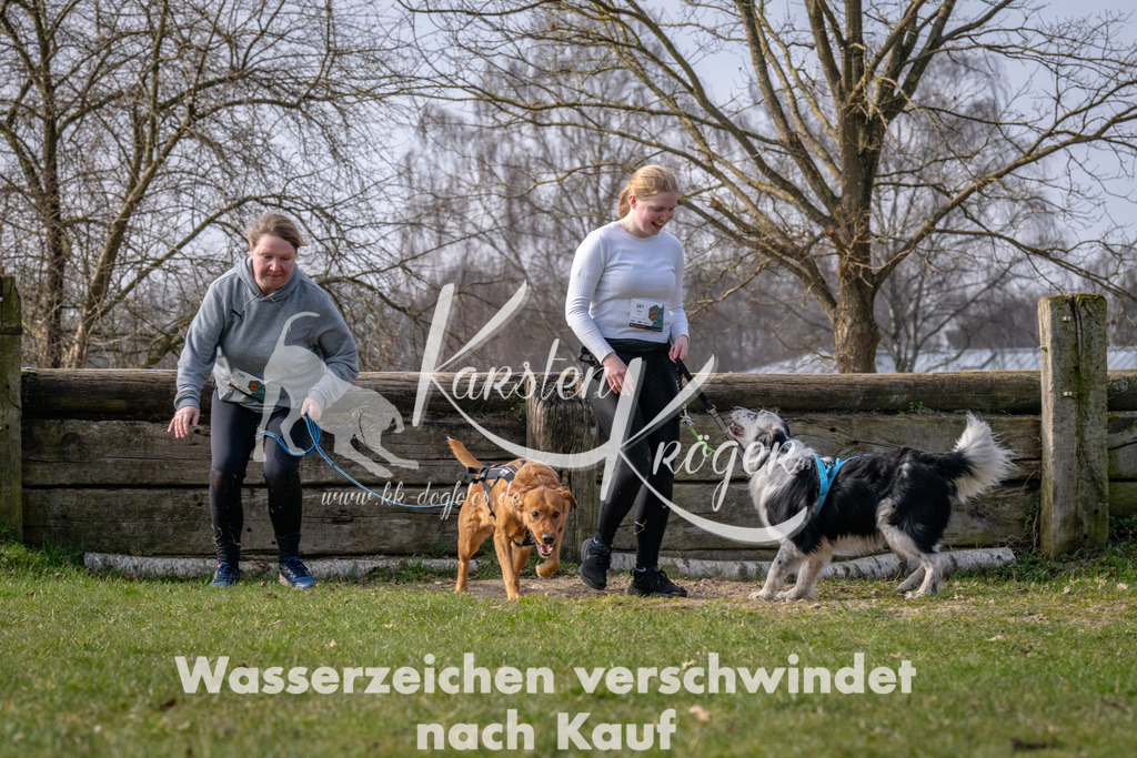 _ZZ90621 | kk-dogfotos