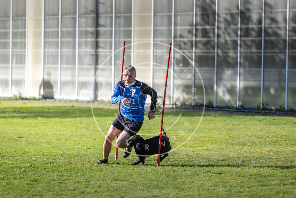 Pfotenfotografie.de_DV3A3233 | Hundefotografie, Tierfotograf, Pfotenfotografie, Fotoshooting Hund, Hunde Portrait, Hundesport, Hundeportraits, Heideshooting, Hunde, Sportfotograf, Hundefotograf, Turnierhundsport, THS, canicross - Realisiert mit Pictrs.com