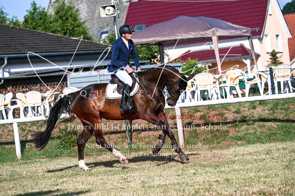 DSC_7439 | Pferde- und Turnierfotografie in Westsachsen. Pferdeportraits, Auftragszeichnungen und intuitive Kunst.