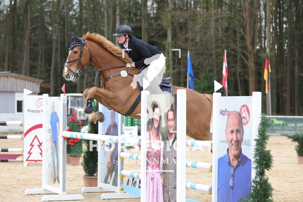 0P6A4746 | Willkommen bei Brunnmayr - Design & Fotografie – Ihrem Spezialisten für Reitturniere und Pferdeveranstaltungen in Oberösterreich, Salzburg und Bayern! Seit über 17 Jahren sind wir leidenschaftlich dabei.