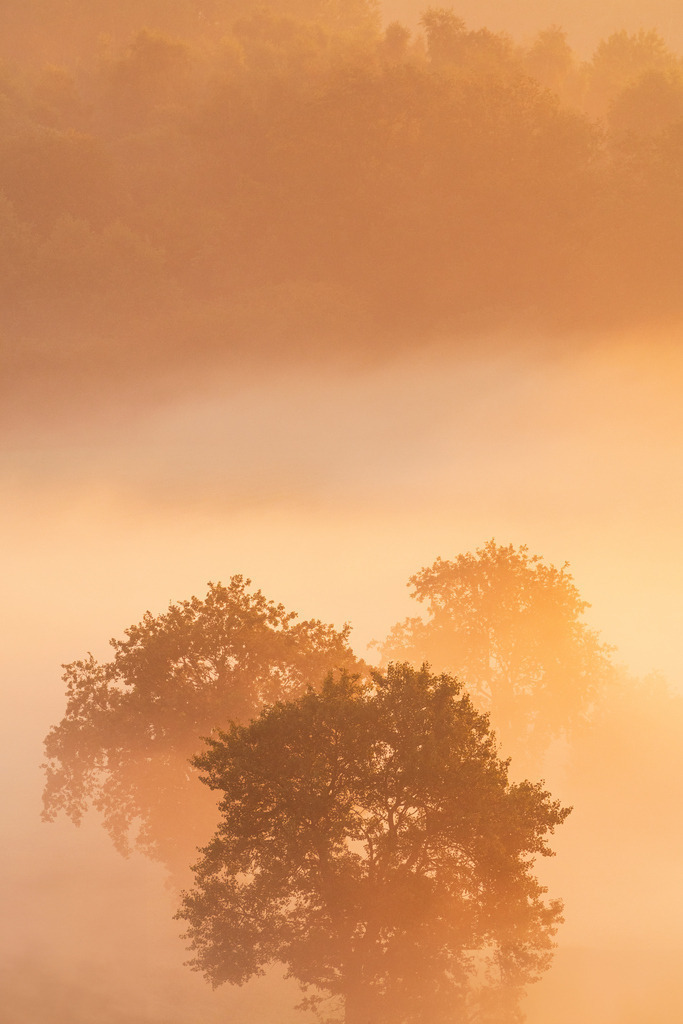 2023_09_07_NOK_SONNENAUFGANG_MCP4263 | Hochwertig gedruckte Fotografien für die Wand, als Kalender und zum Verschenken. Hamburg & Norddeutschland und überall wo ich mit der Kamera unterwegs war.