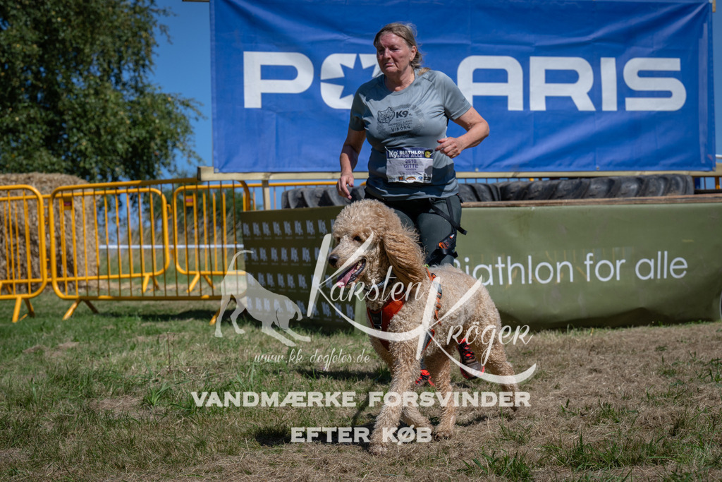 1248_ZZ96737 | kk-dogfotos