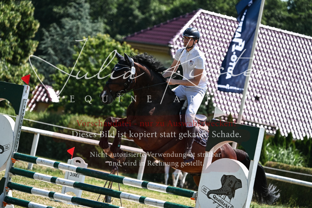DSC_0455 | Pferde- und Turnierfotografie in Westsachsen. Pferdeportraits, Auftragszeichnungen und intuitive Kunst.