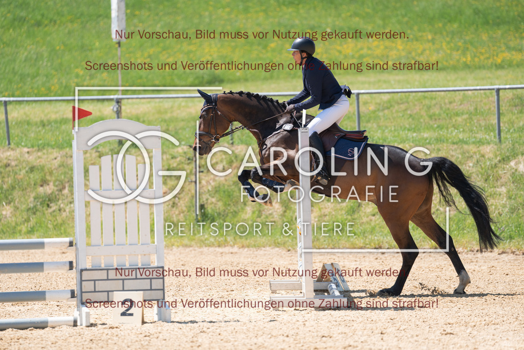 DSC04490 | Springturnier_Ehingen_Mai_2026, Simone_Seitz, Henley_2