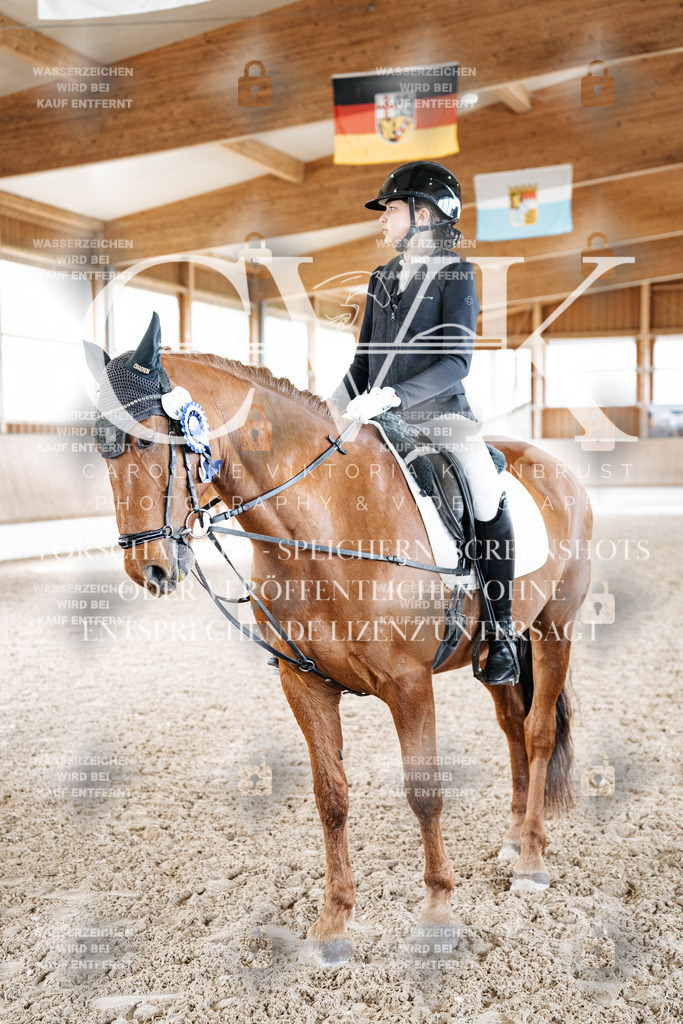 CK703335 | Turnierfotografie Pferdefotografie Trier Rheinland-Pfalz Pferdesport Reitsport Tierfotografie Sportfotografie Pferdevideo Pferdevideografie Equestrianvideography equestrianphotography  - Realisiert mit Pictrs.com