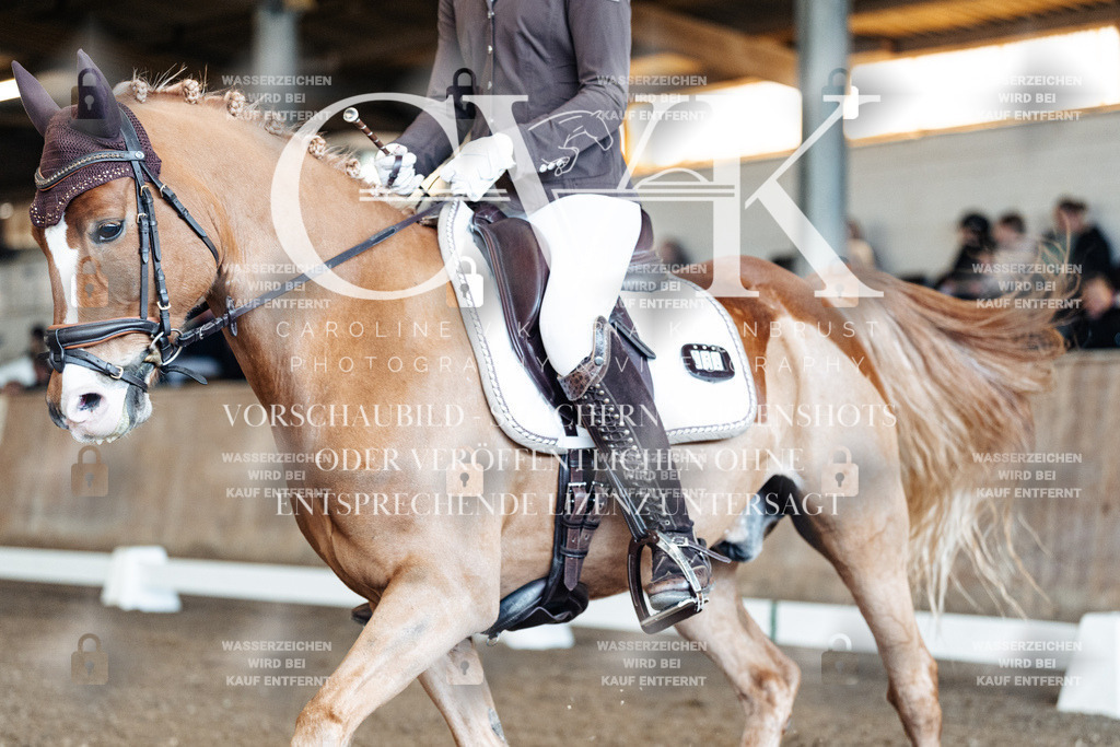CK900739 | Turnierfotografie Pferdefotografie Trier Rheinland-Pfalz Pferdesport Reitsport Tierfotografie Sportfotografie Pferdevideo Pferdevideografie Equestrianvideography equestrianphotography  - Realisiert mit Pictrs.com