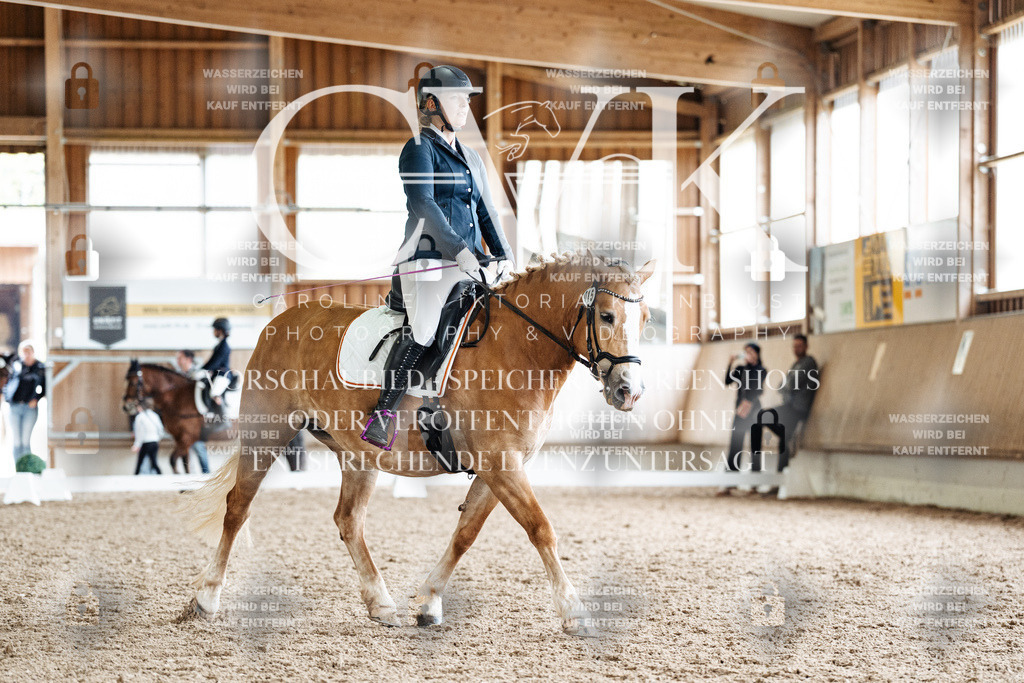 CK900570 | Turnierfotografie Pferdefotografie Trier Rheinland-Pfalz Pferdesport Reitsport Tierfotografie Sportfotografie Pferdevideo Pferdevideografie Equestrianvideography equestrianphotography  - Realisiert mit Pictrs.com