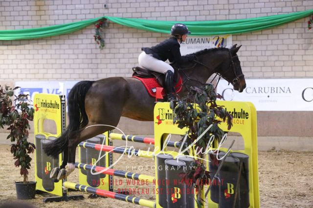 IMG_0788 | Deine Turnierfotos vom Reitturnier online kaufen: Dressur, Springen & Siegerehrung. Professionelle Pferdefotografie aus dem Rheinland – als Download & Print.Alternative: Turnierfotograf für den Pferdesport: Finde deine Fotos von Dressur- und Springturnier