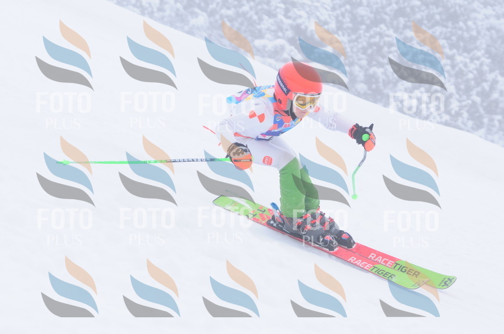 C2544 | holidayphoto