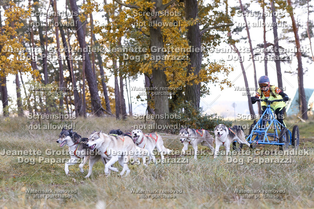 Dog Paparazzi - Elsholz 25 -39 | Dog Paparazzi Jeanette Grottendiek Fotografie & Videografie - Realisiert mit Pictrs.com