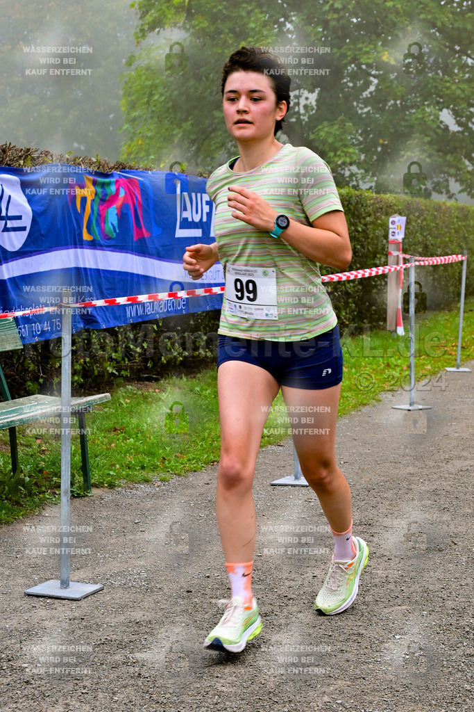 Z8N_2298 | la-psv - Realisiert mit Pictrs.com