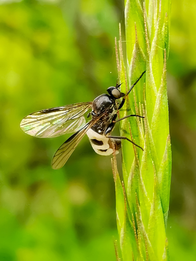 PSX_20230525_231255 | mtkfoto_ - Realisiert mit Pictrs.com