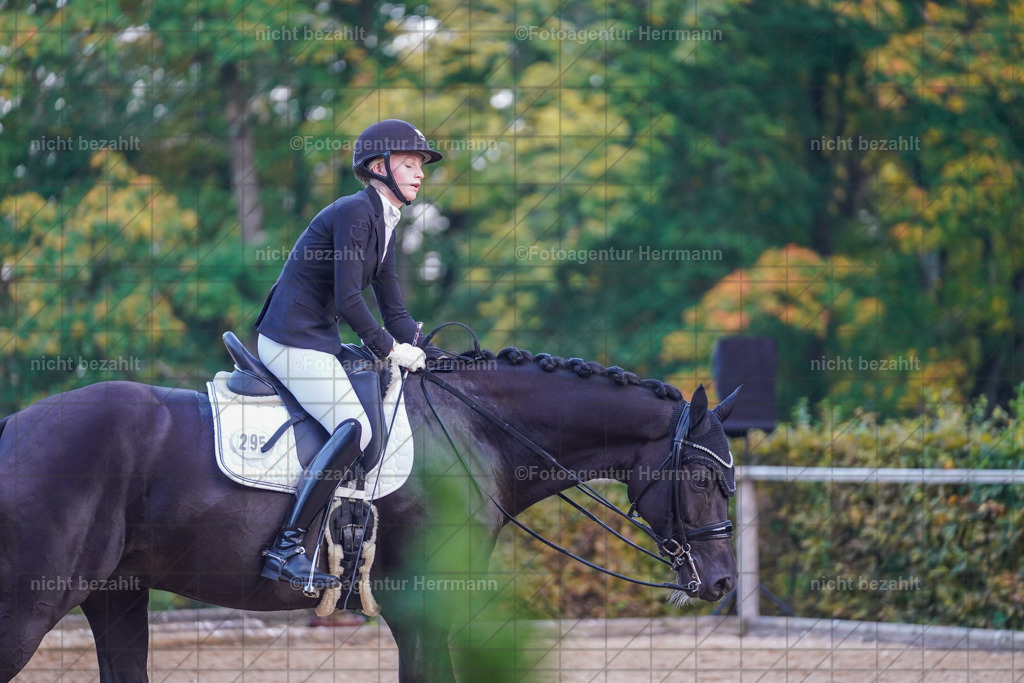 20221007-FAH00636 | Diessen am Ammersee, 2022, Dressur- und Springturnier, Reitsportbilder, Turnierfotografen Bayern, Pferdefotografen, Fotoagentur Herrmann, Turnierbilder
