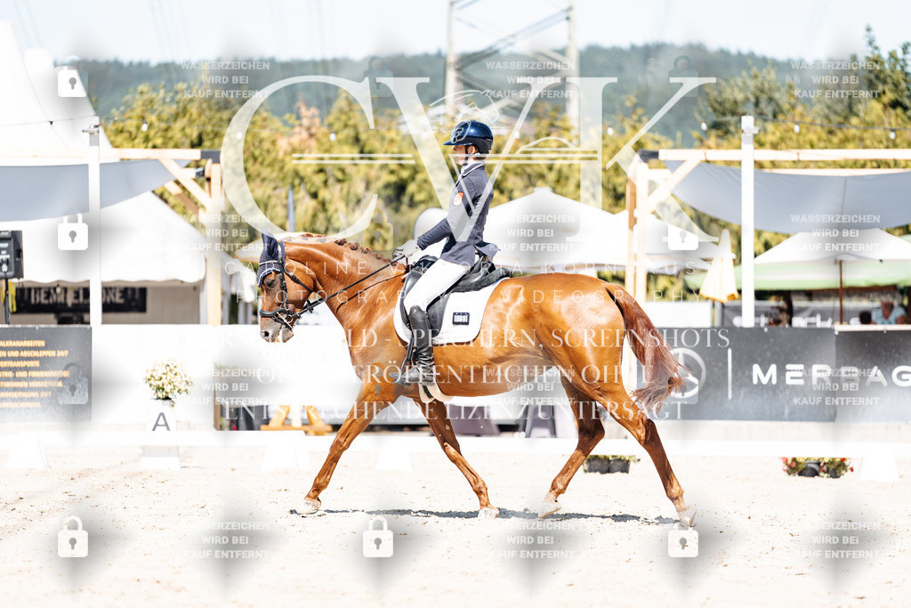 CK909647 | Turnierfotografie Pferdefotografie Trier Rheinland-Pfalz Pferdesport Reitsport Tierfotografie Sportfotografie Pferdevideo Pferdevideografie Equestrianvideography equestrianphotography  - Realisiert mit Pictrs.com