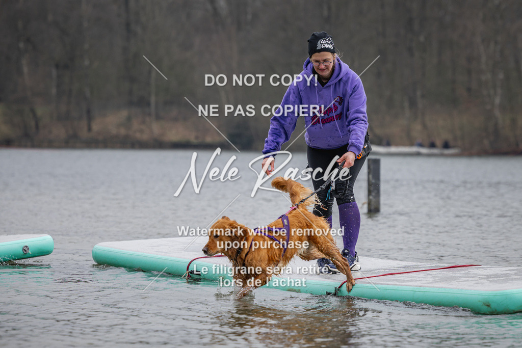 nelerasche_Hulsbeek_Sa1430-1515_36 | nelerasche