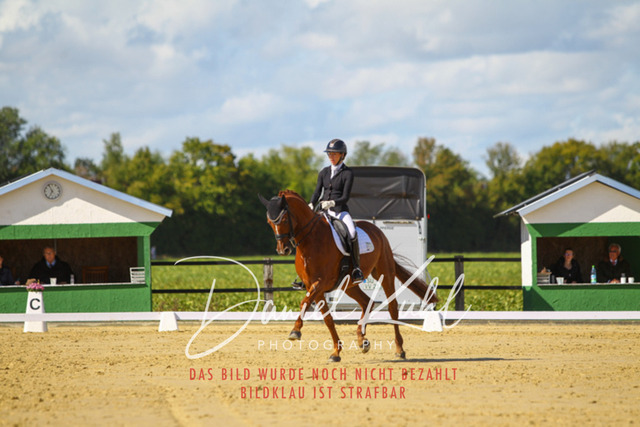 DKP44181 | Turniersportfotografie; Pferdefotografie; Dressurfotografie