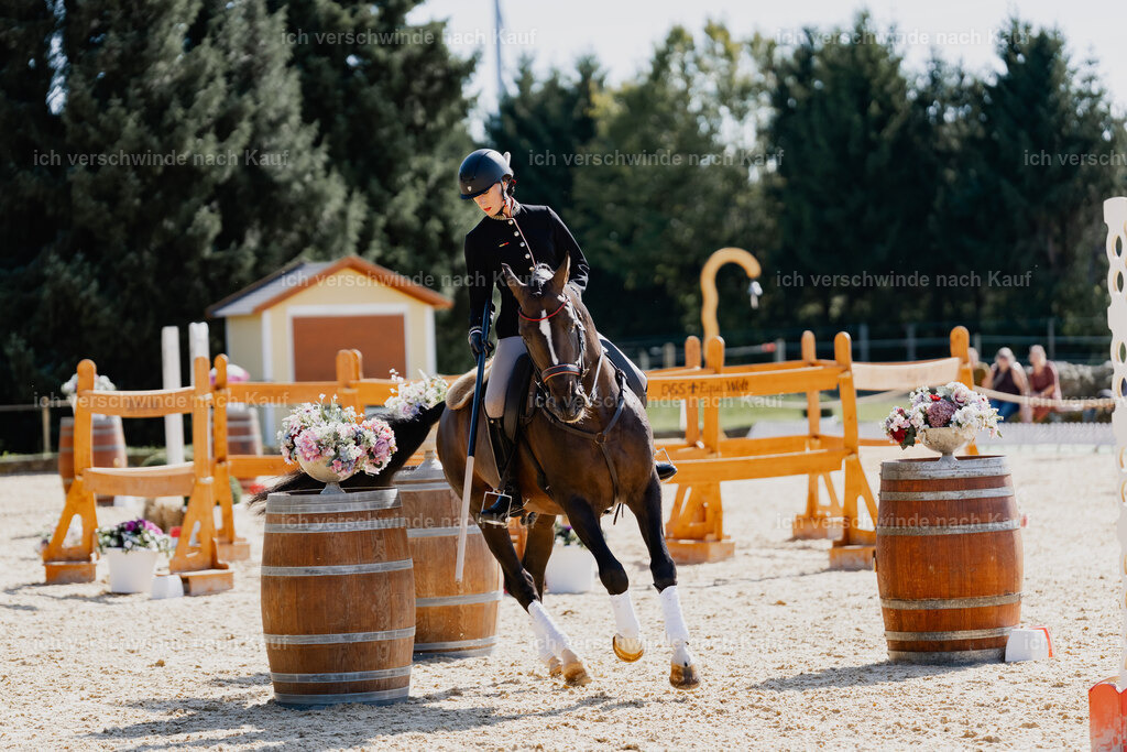 Virginie12FHC2025-09128 | working equitationturnier fotograf videograf stoibphotography marixx film working equitation deutschland reitsport turnierfotografie eventfotografie equestrian events
