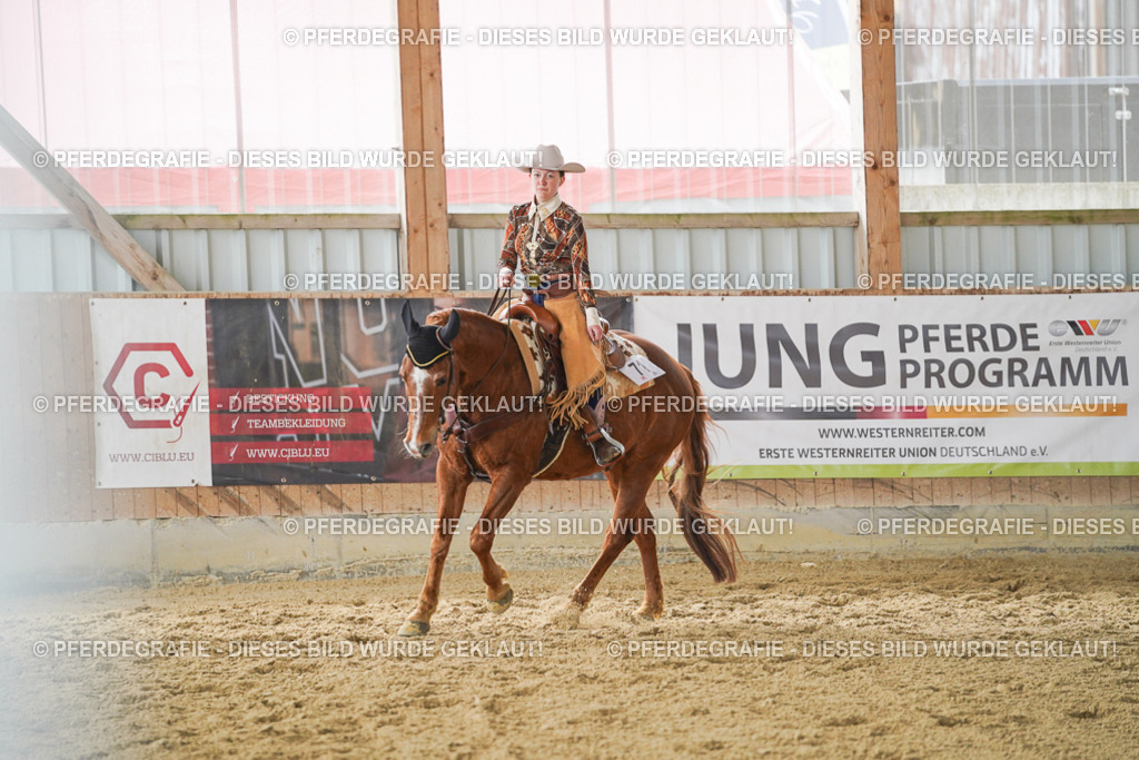 DSC04864 | Pferdegrafie