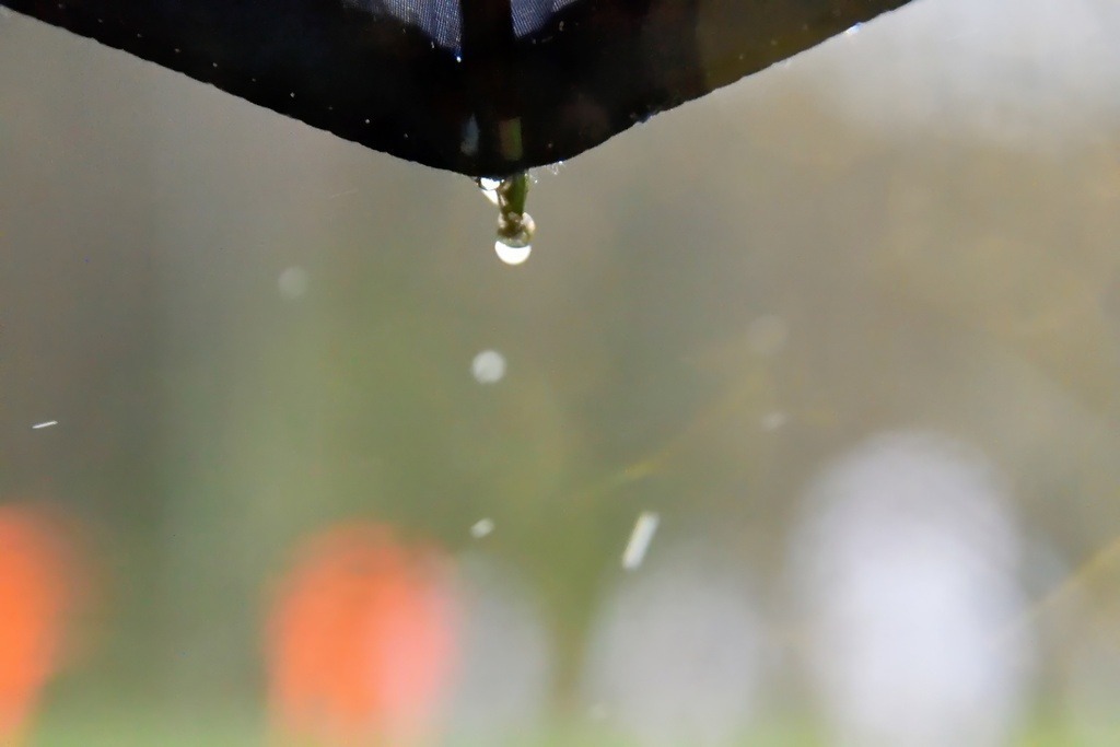 Rad.1-40-photo-mE | PFALZFOTO - Serena Wobus - Realisiert mit Pictrs.com