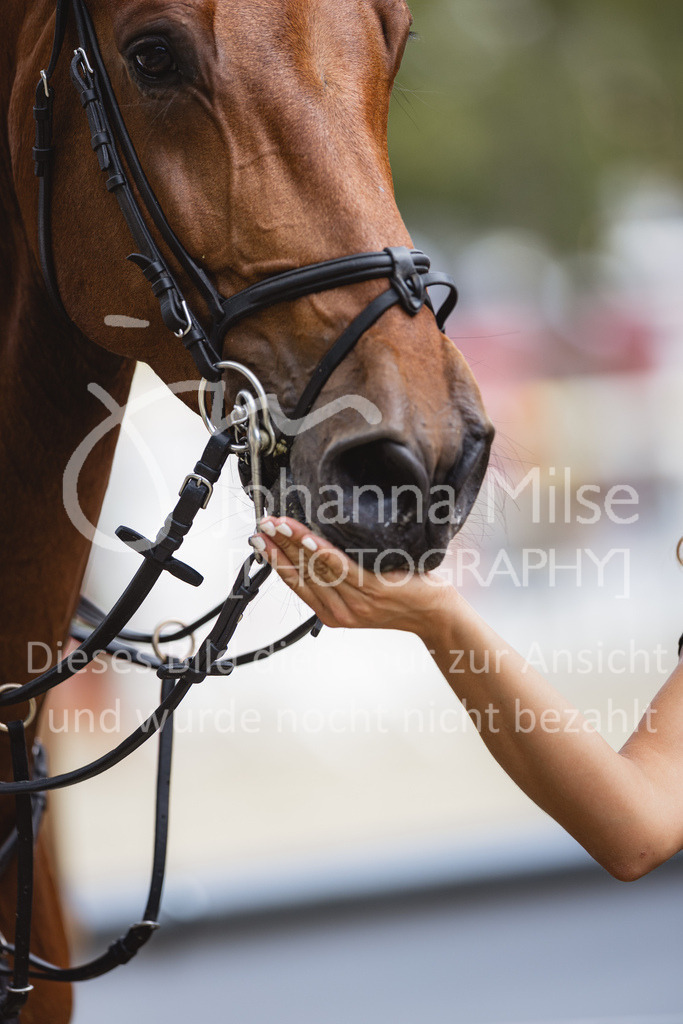 230827_Delbrueck_GrosserPreis-508 | Deine schönsten Turniermomente als professionelle Fotos! Entdecke hochwertige Pferdesport-Fotografie im Online-Shop. Jetzt Fotos finden & bestellen!