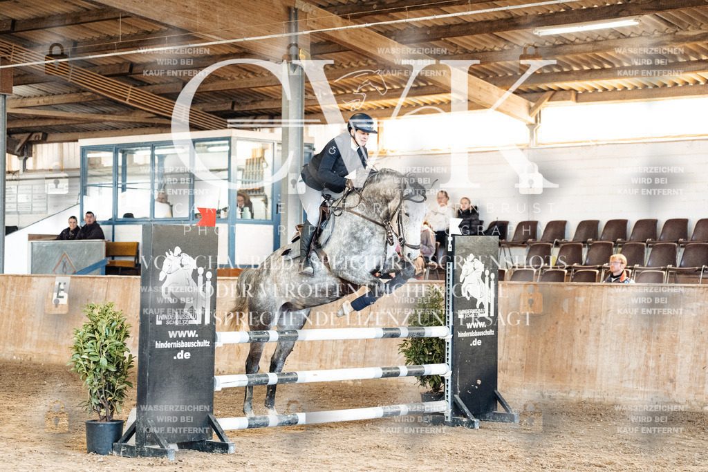 CK904877 | Turnierfotografie Pferdefotografie Trier Rheinland-Pfalz Pferdesport Reitsport Tierfotografie Sportfotografie Pferdevideo Pferdevideografie Equestrianvideography equestrianphotography  - Realized with Pictrs.com
