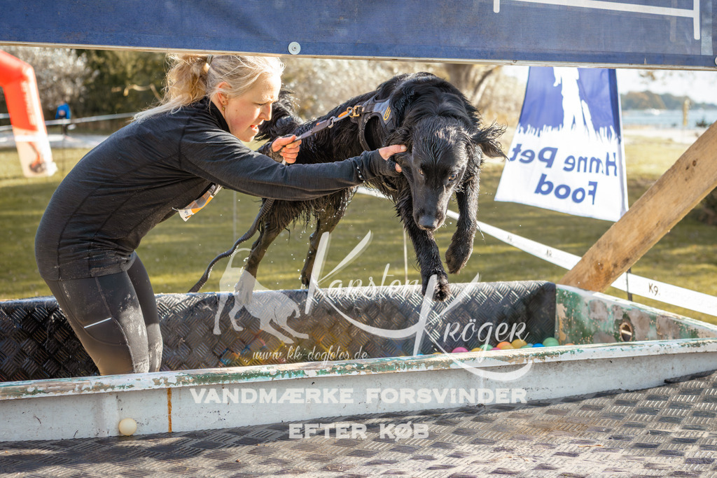 1433_ZZ94679-2 | kk-dogfotos