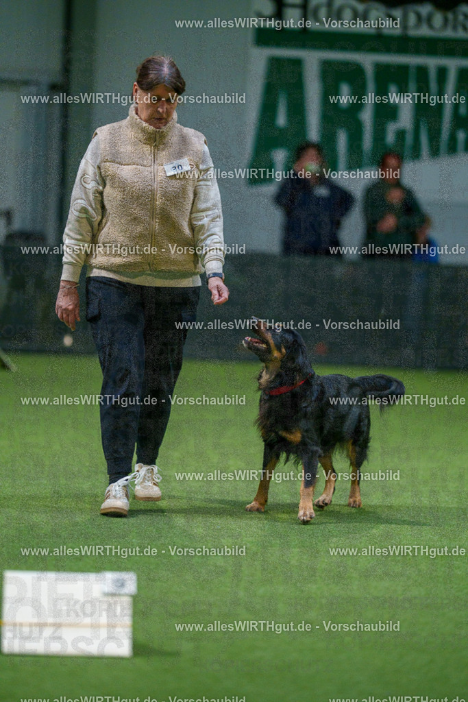 7R505417 | Professionelle Tierfotografie in Mönchengladbach von Daniel Wirth (allesWIRTHgut). Liebevolle & natürliche Bilder von Hunden & Katzen für unvergessliche Erinnerungen.