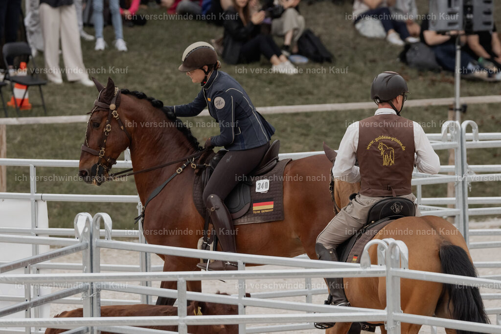 WE__Stoib_Rinder_PI2025_3038 | Pferd International München 2025