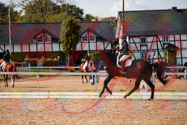 2026_10_03_Siefer-Hof_133657_Z63_98854060 | Professionelle Reitsport-, Turnier- und Eventfotografie von Robert Broda. Galerien mit ausgewählten und bearbeiteten Bildern direkt online ansehen und bestellen.