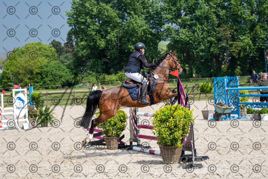 KPT_2965 | andre_photographic