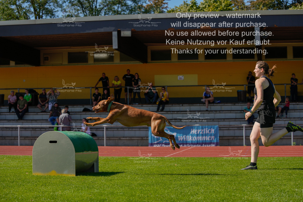 Sonntag_VK Hindernis (196 von 671) | stephaniefillaphotographie - Realisiert mit Pictrs.com