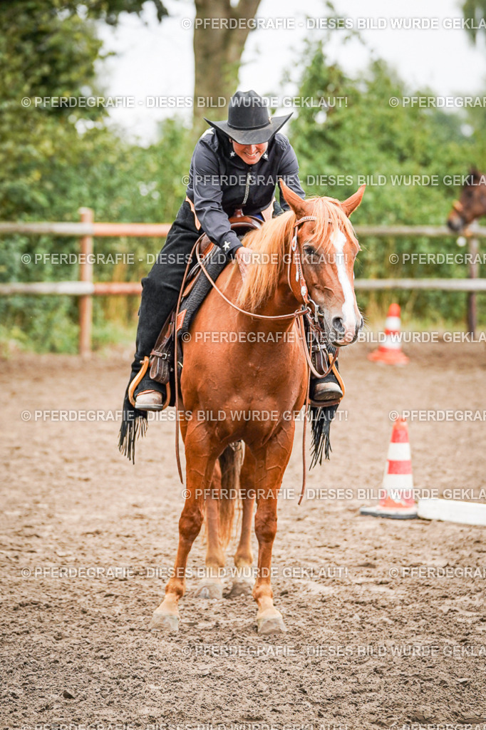 DSC03953 | Pferdegrafie