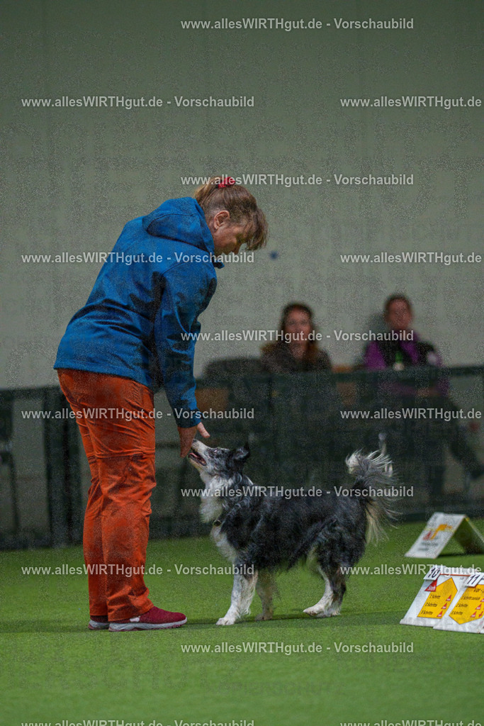 7R504484 | Professionelle Tierfotografie in Mönchengladbach von Daniel Wirth (allesWIRTHgut). Liebevolle & natürliche Bilder von Hunden & Katzen für unvergessliche Erinnerungen.