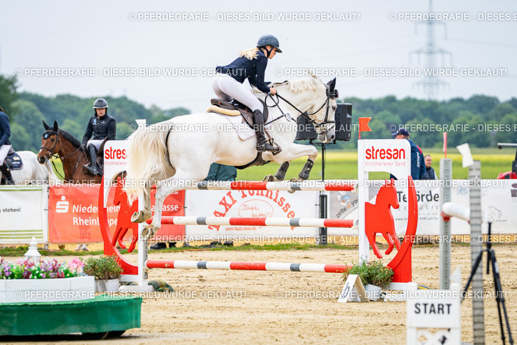 DSC06965 | Pferdegrafie